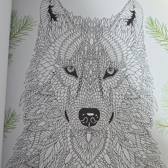 Set of Two Adult Coloring Books - The Menagerie and Magic Garden - Picture 14 of 16